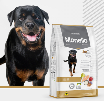 Monello Perro Tradicional