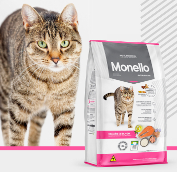Monello Gato Adulto Salmon