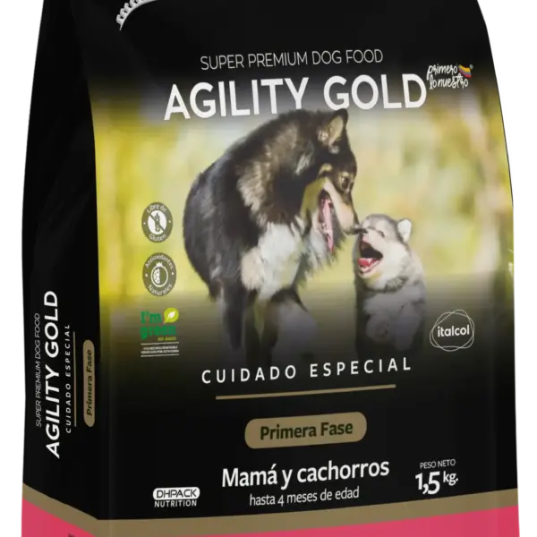 Agility Gold Cachorros Primera Fase